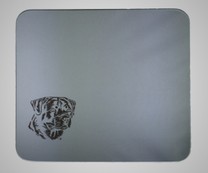 Spiegel 300x300mm